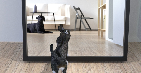 葛原1丁目西分譲